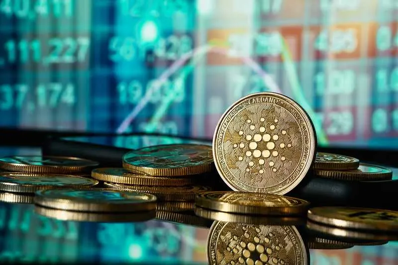 Cardano Storage in the Bank