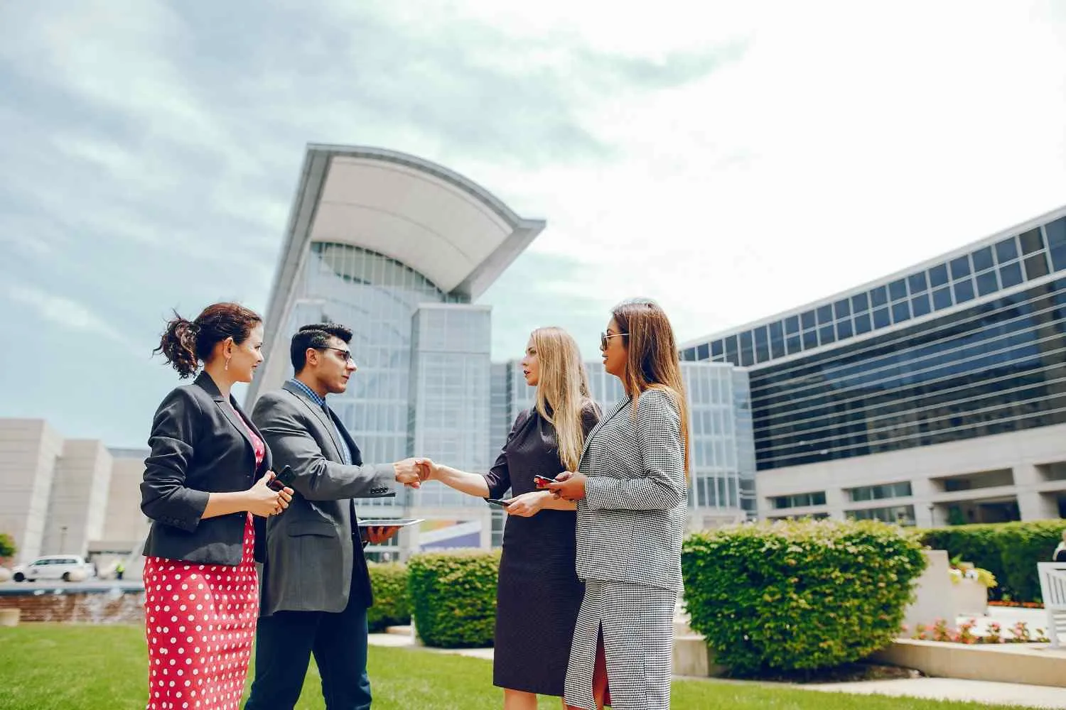A Practical Guide to Your BVI Company Registry Search