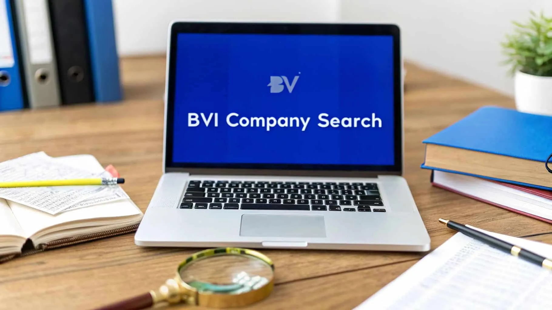 BVI Company Search