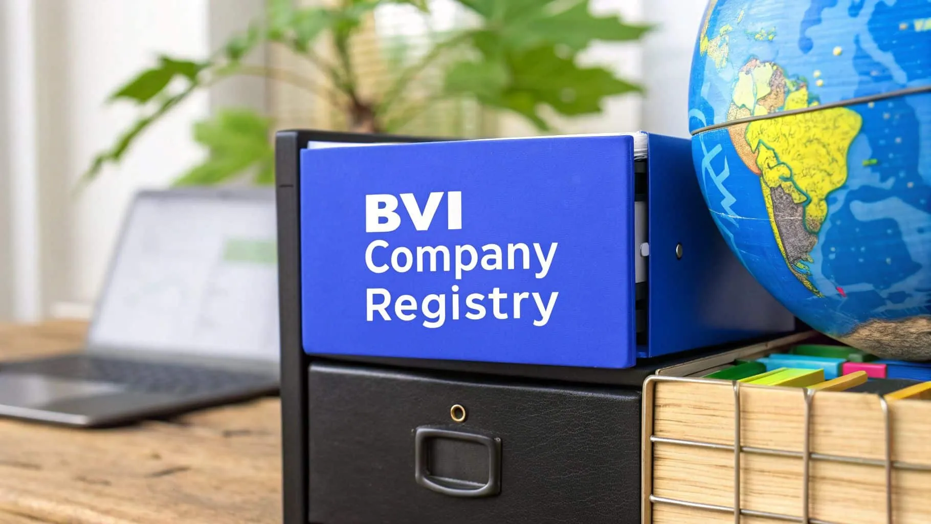 A Guide to the BVI Company Registry